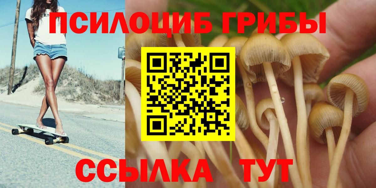 купить наркотики сайты  Вход с VPN  Сунжа  Псилоцибиновые грибы MAGIC MUSHROOMS 